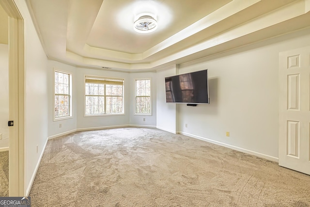 unfurnished living room featuring carpet, a raised ceiling, and plenty of natural light