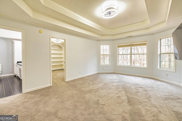 spare room with a raised ceiling and carpet floors