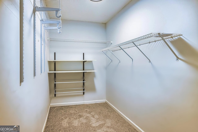 walk in closet with carpet