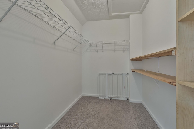 spacious closet with carpet