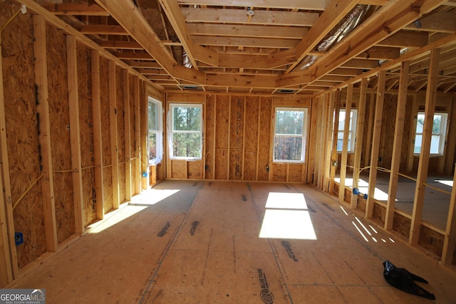 miscellaneous room with plenty of natural light