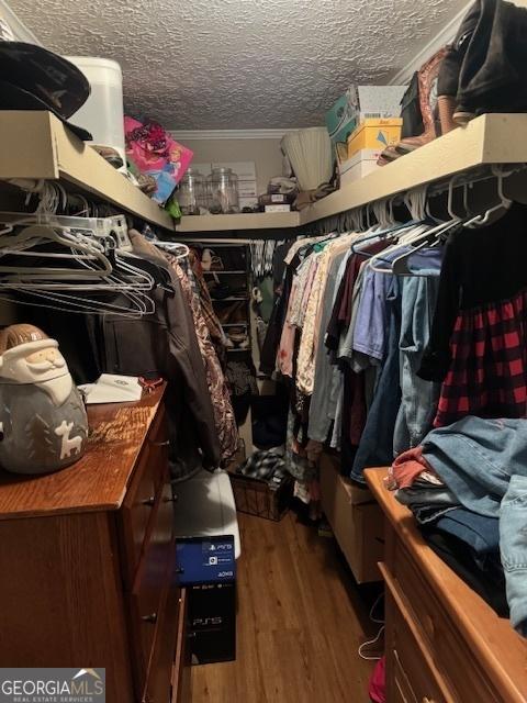 walk in closet with dark wood-type flooring