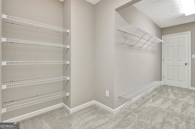 spacious closet featuring carpet flooring