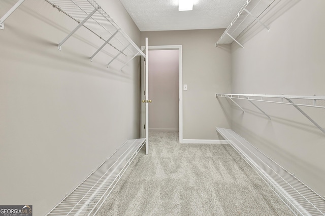 walk in closet with carpet flooring