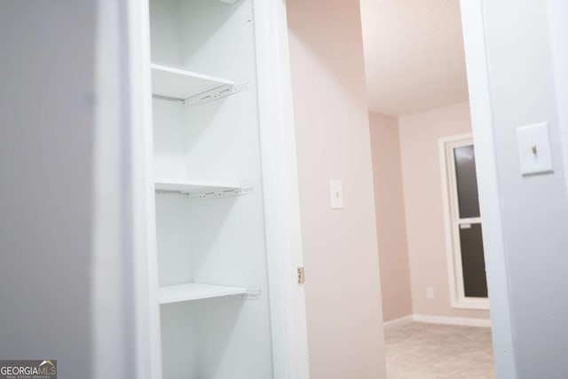 view of closet