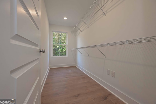 spacious closet featuring wood finished floors