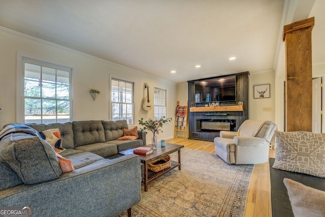 living room with ornamental molding and hardwood / wood-style floors