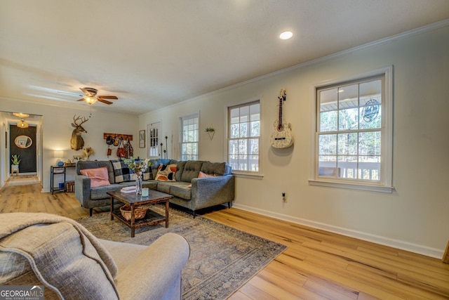 living room featuring crown molding, ceiling fan, a healthy amount of sunlight, and light hardwood / wood-style flooring