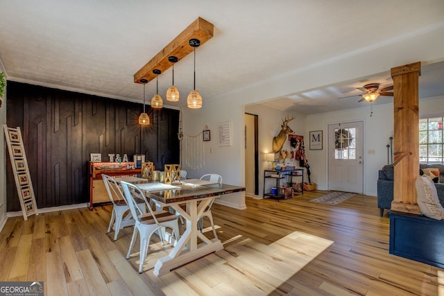 dining area with ceiling fan and light hardwood / wood-style flooring