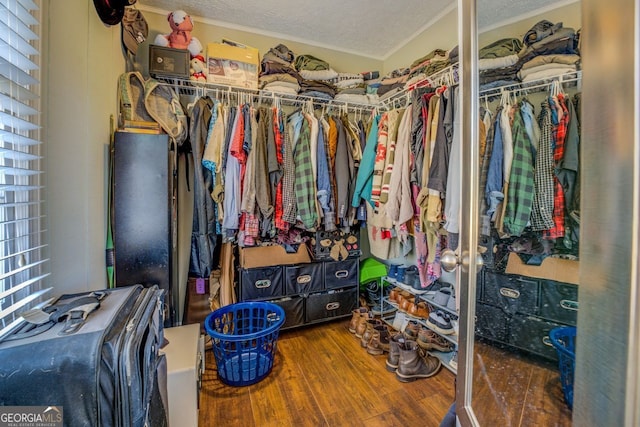 spacious closet featuring hardwood / wood-style flooring