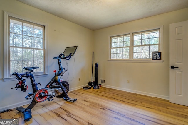 workout area featuring a wealth of natural light, a textured ceiling, and light hardwood / wood-style flooring