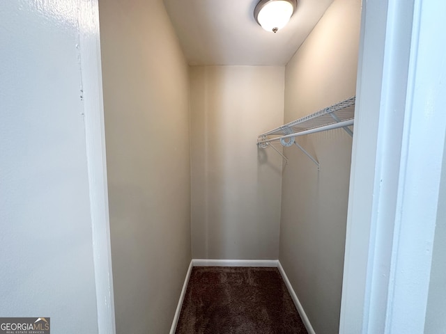 walk in closet with carpet floors