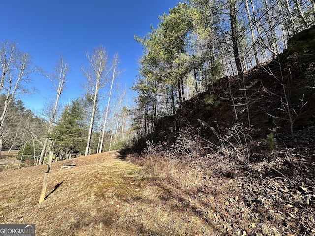 view of local wilderness