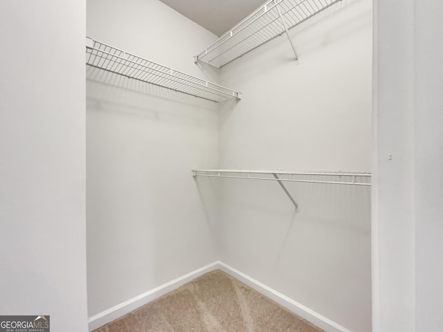 spacious closet featuring carpet