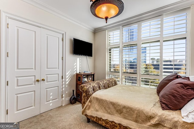 750 Park Ave NE Unit 8E, Atlanta, GA 30326 - bedroom featuring carpet flooring, crown molding, and a closet