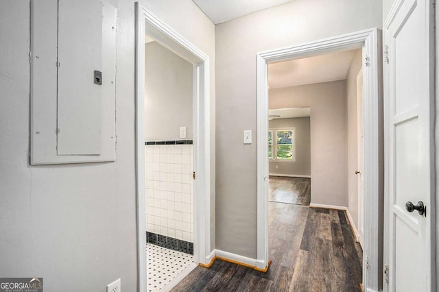 hall featuring tile walls, electric panel, and dark hardwood / wood-style floors