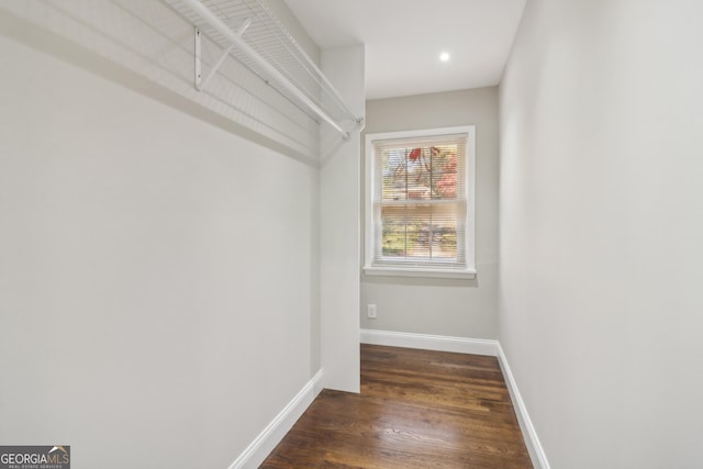 spacious closet featuring dark wood-type flooring