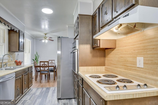 kitchen featuring crown molding, sink, ceiling fan, light wood-type flooring, and appliances with stainless steel finishes