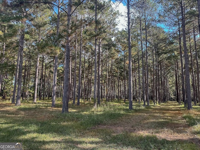 view of local wilderness