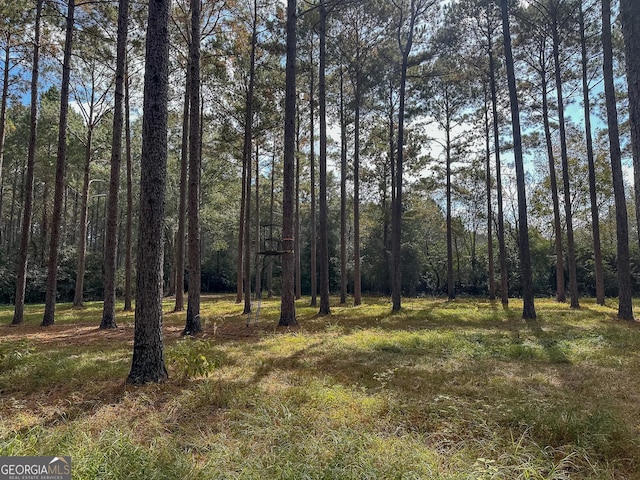 view of local wilderness