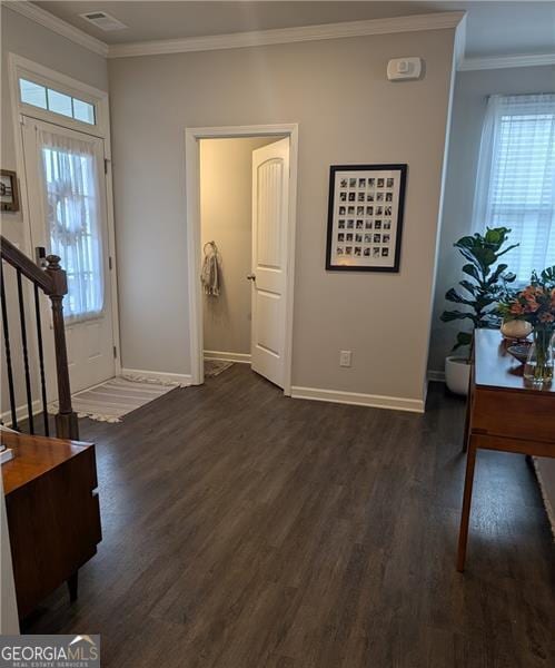 foyer featuring plenty of natural light, ornamental molding, and dark wood-type flooring