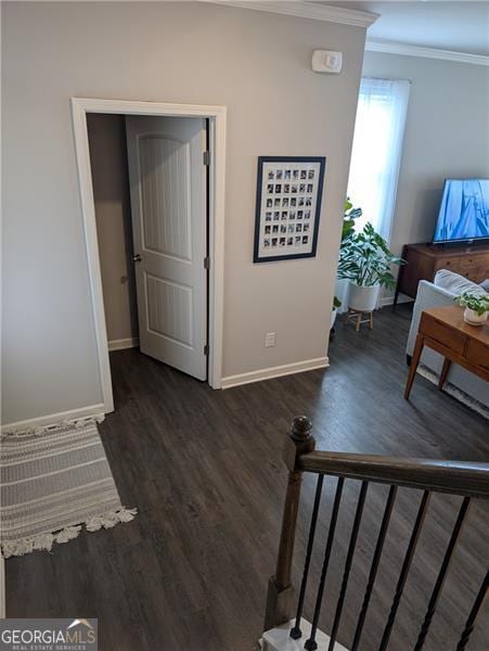 corridor with dark hardwood / wood-style floors and ornamental molding