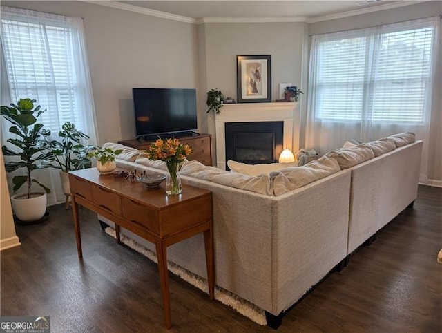 living room with dark hardwood / wood-style flooring and ornamental molding