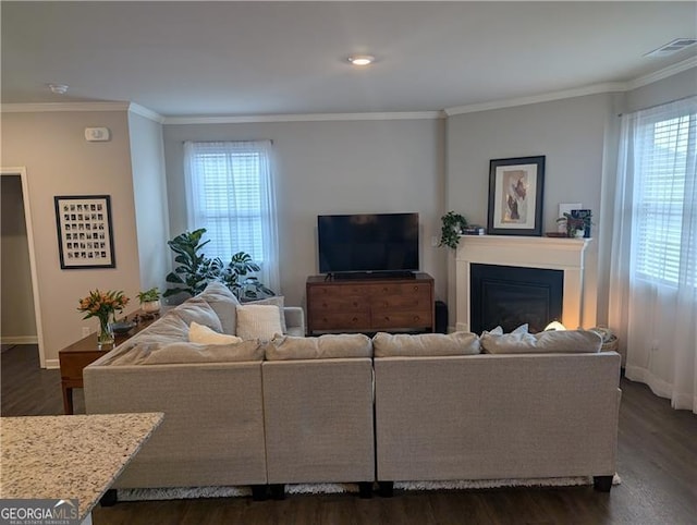 living room with dark hardwood / wood-style flooring, a wealth of natural light, and crown molding