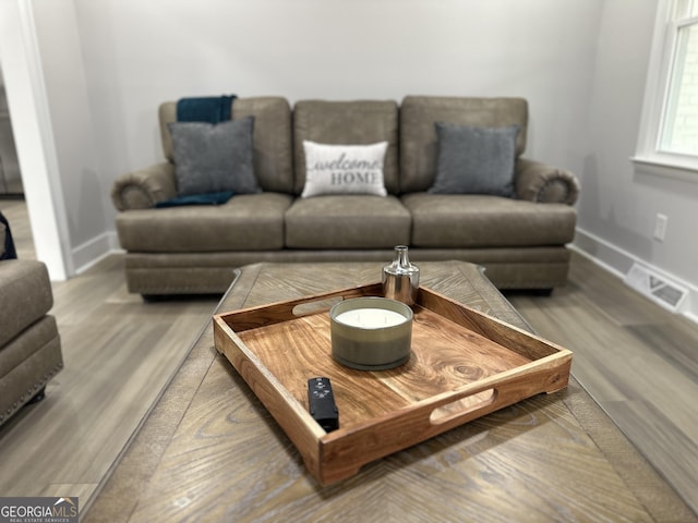 living room featuring wood-type flooring