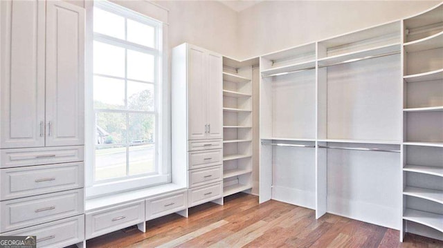 walk in closet with wood-type flooring