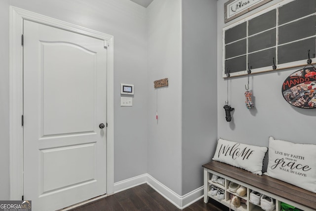 mudroom with dark hardwood / wood-style flooring