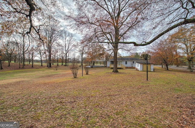 view of yard with a storage shed