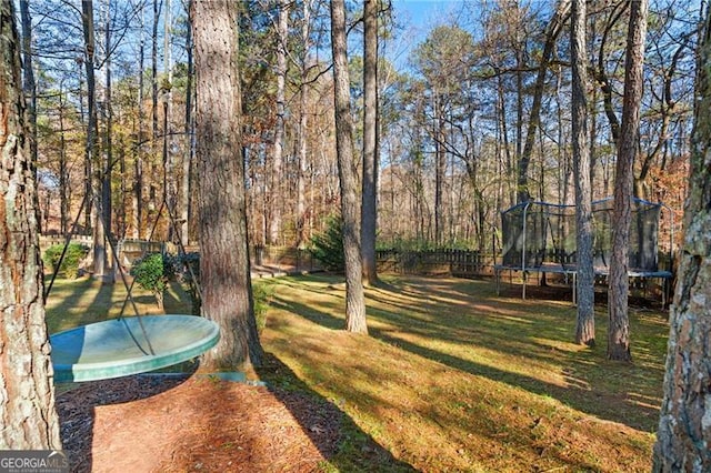 view of yard with a trampoline