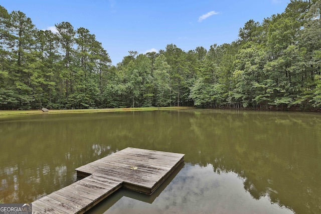 dock area featuring a water view