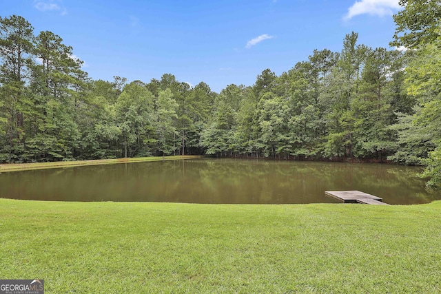 property view of water with a boat dock