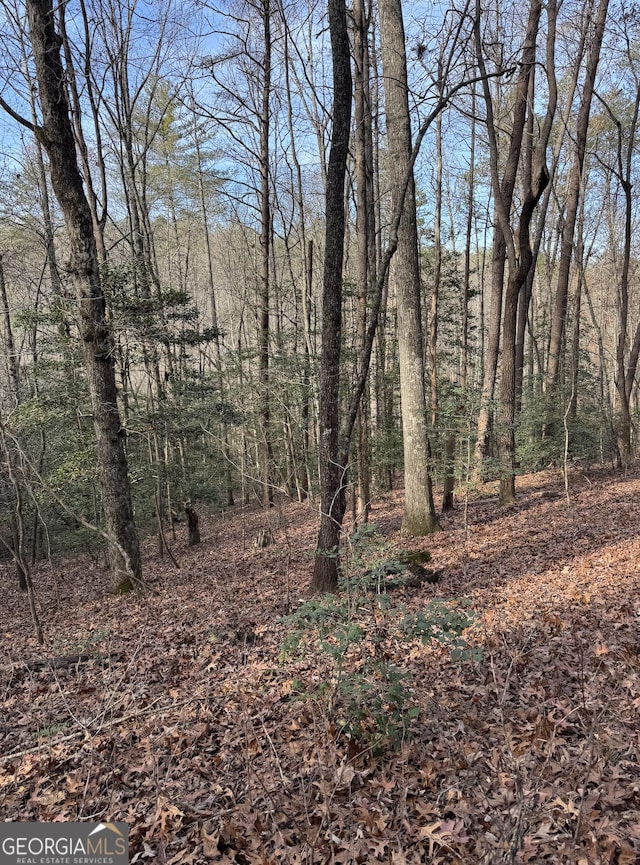 Listing photo 2 for 0 Cavender Creek Rd, Dahlonega GA 30533