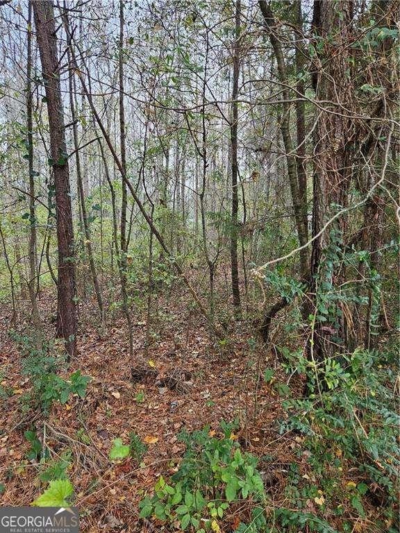 7827 Poppy Seed Pl, Winston GA, 30187 land for sale