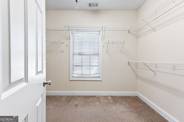 walk in closet featuring light colored carpet