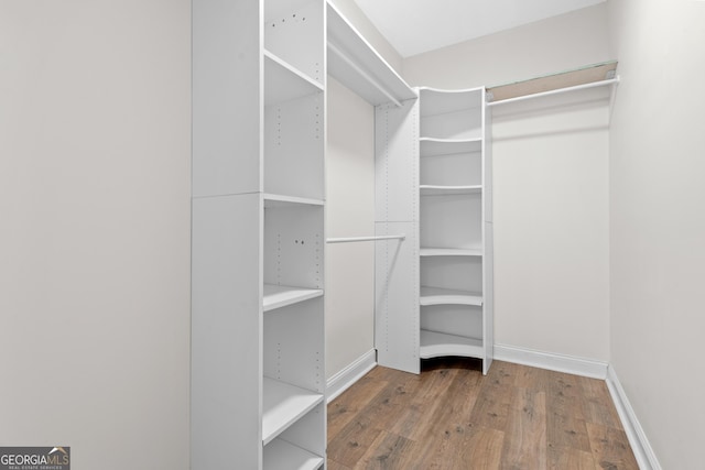 walk in closet with hardwood / wood-style flooring