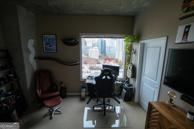 view of carpeted office