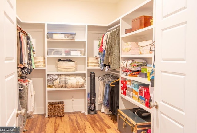 spacious closet with hardwood / wood-style floors