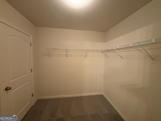 spacious closet with carpet floors