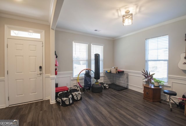 misc room featuring dark hardwood / wood-style floors, a healthy amount of sunlight, and ornamental molding