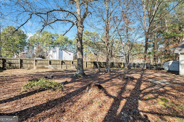 view of yard featuring a storage unit