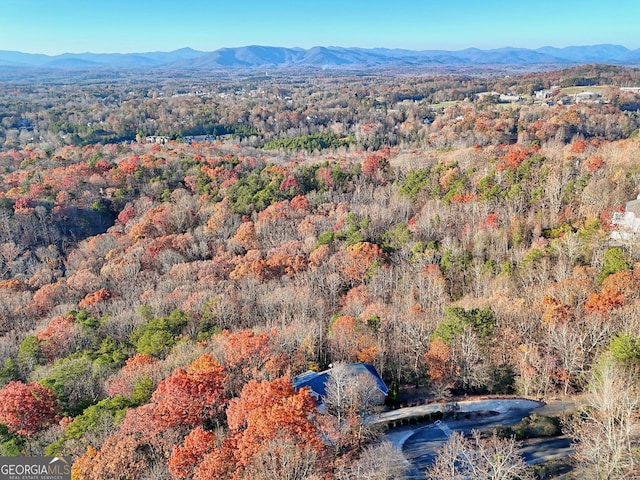 birds eye view of property with a mountain view