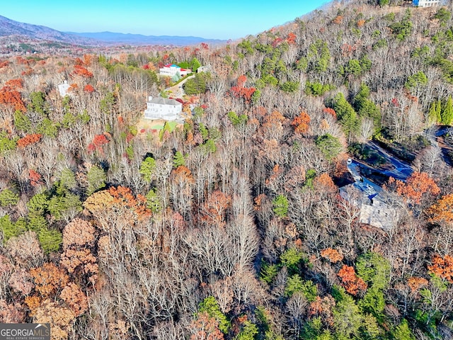 aerial view with a mountain view