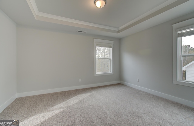 spare room featuring carpet flooring, crown molding, and a tray ceiling