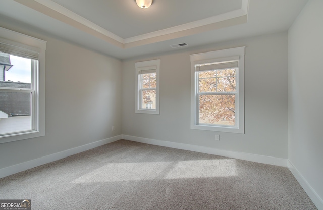 carpeted spare room featuring a raised ceiling and ornamental molding