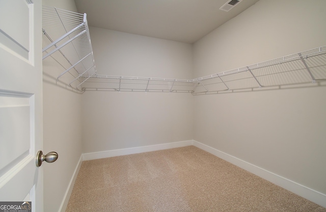 walk in closet with carpet