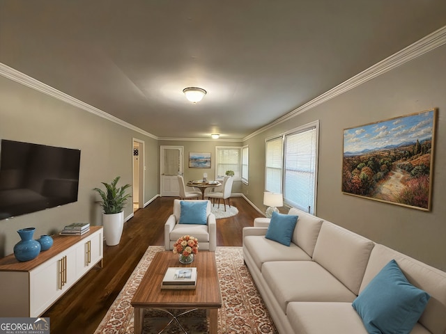 living room featuring dark wood-type flooring and crown molding